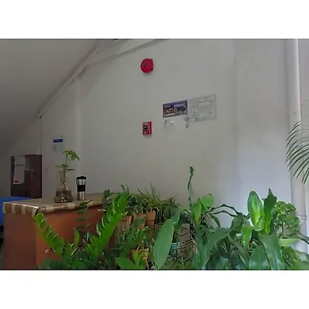 Tesoro Apartments