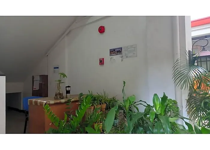Hotel Tesoro 2*